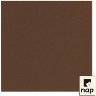 AP - Serviette Celi-ouate 40x40 couleurs vives / CT 900